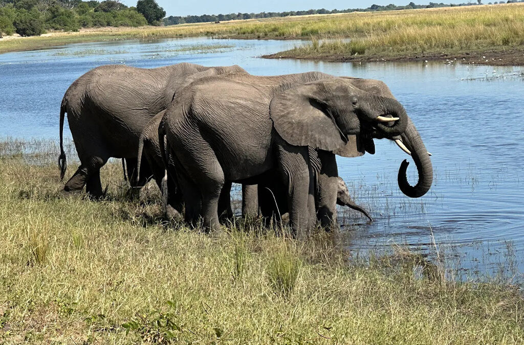 6-Day Murchison Falls & Lake Mburo Adventure