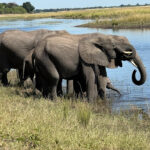 6-Day Murchison Falls & Lake Mburo Adventure