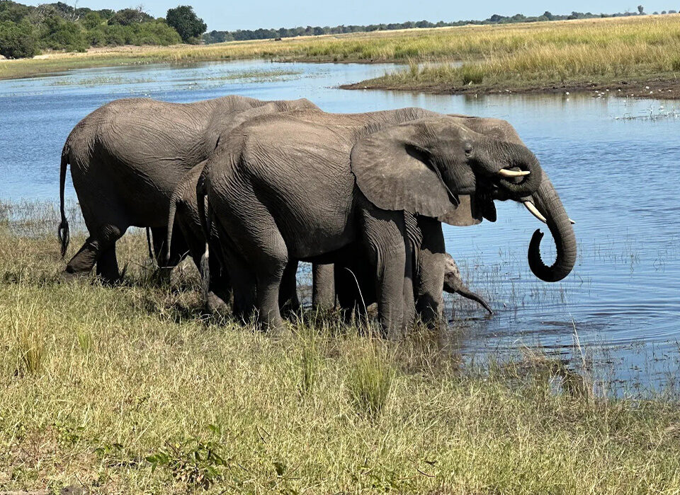 6-Day Murchison Falls & Lake Mburo Adventure