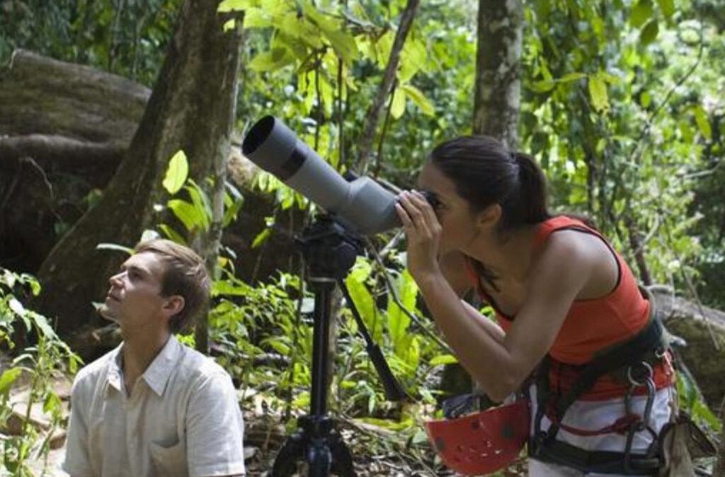 Birding in Nyungwe Forest National Park: