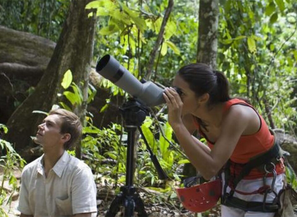 Birding in Nyungwe Forest National Park: