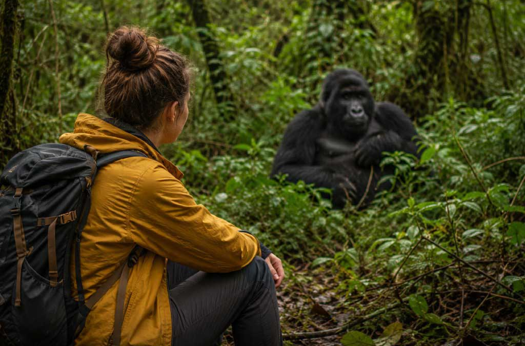 Rescheduling a Gorilla Permit in Uganda