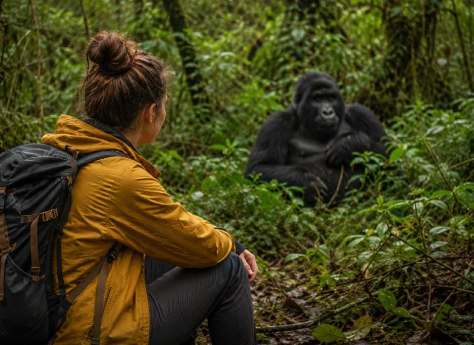 Rescheduling a Gorilla Permit in Uganda