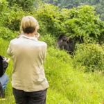 Ruhija Gorilla Trekking Sector