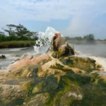 Sport Fishing at Semuliki River