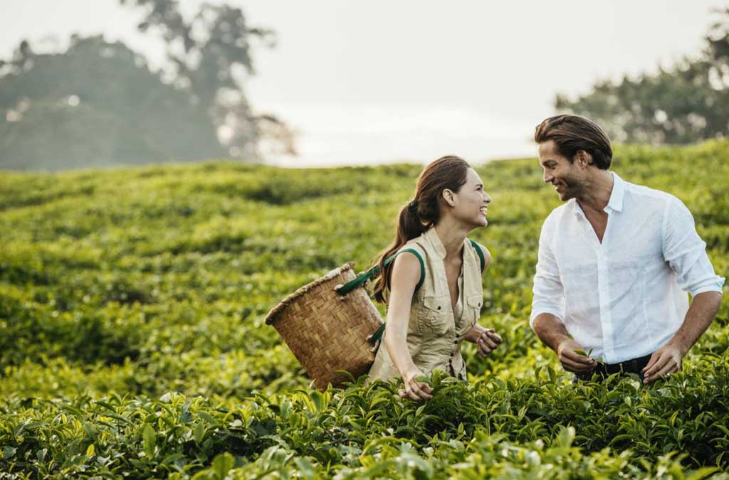 Tea Plantation Tour Near Nyungwe National Park, Rwanda