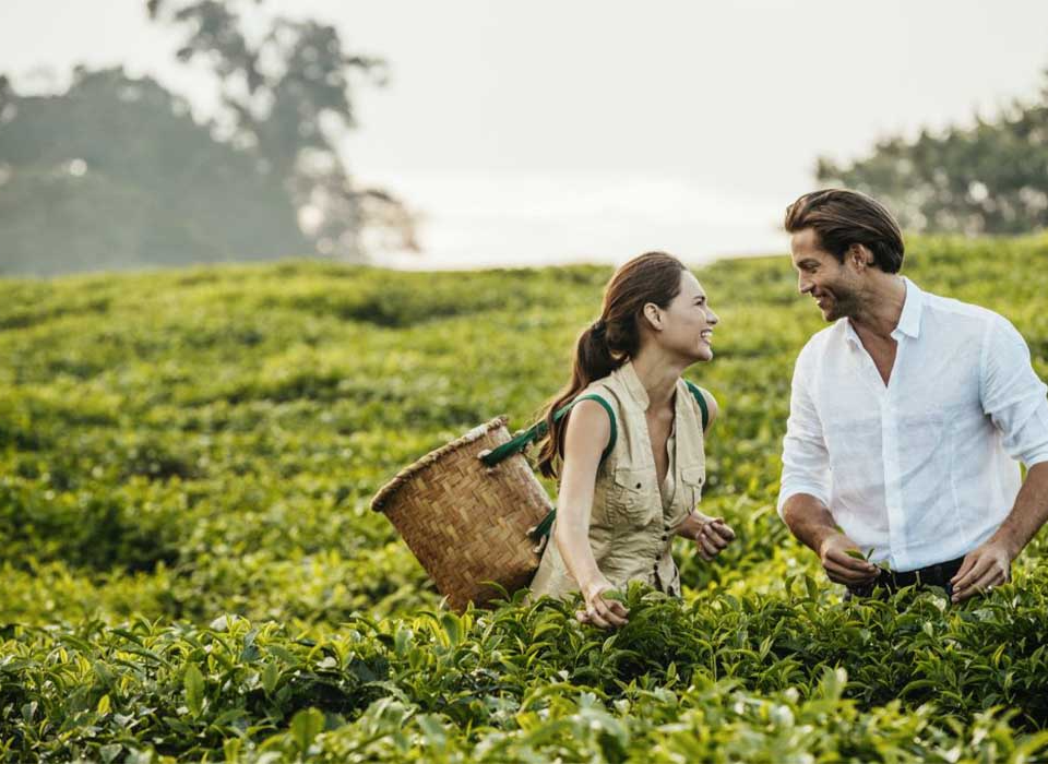 Tea Plantation Tour Near Nyungwe National Park, Rwanda