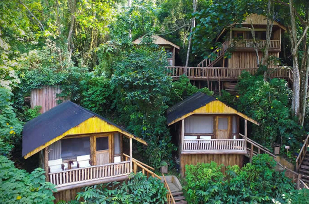 Top 10 Luxury Lodges in Bwindi Impenetrable National Park