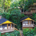 Top 10 Luxury Lodges in Bwindi Impenetrable National Park