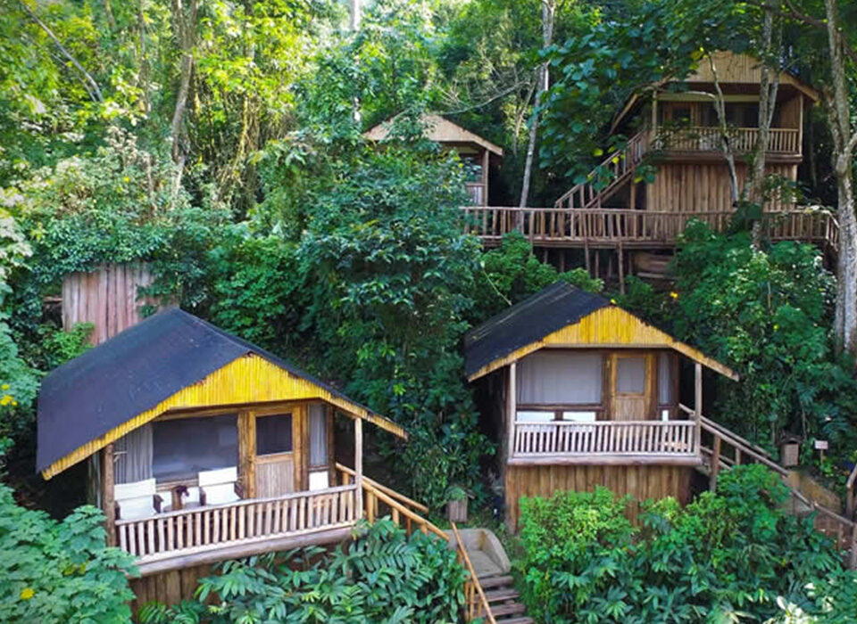 Top 10 Luxury Lodges in Bwindi Impenetrable National Park