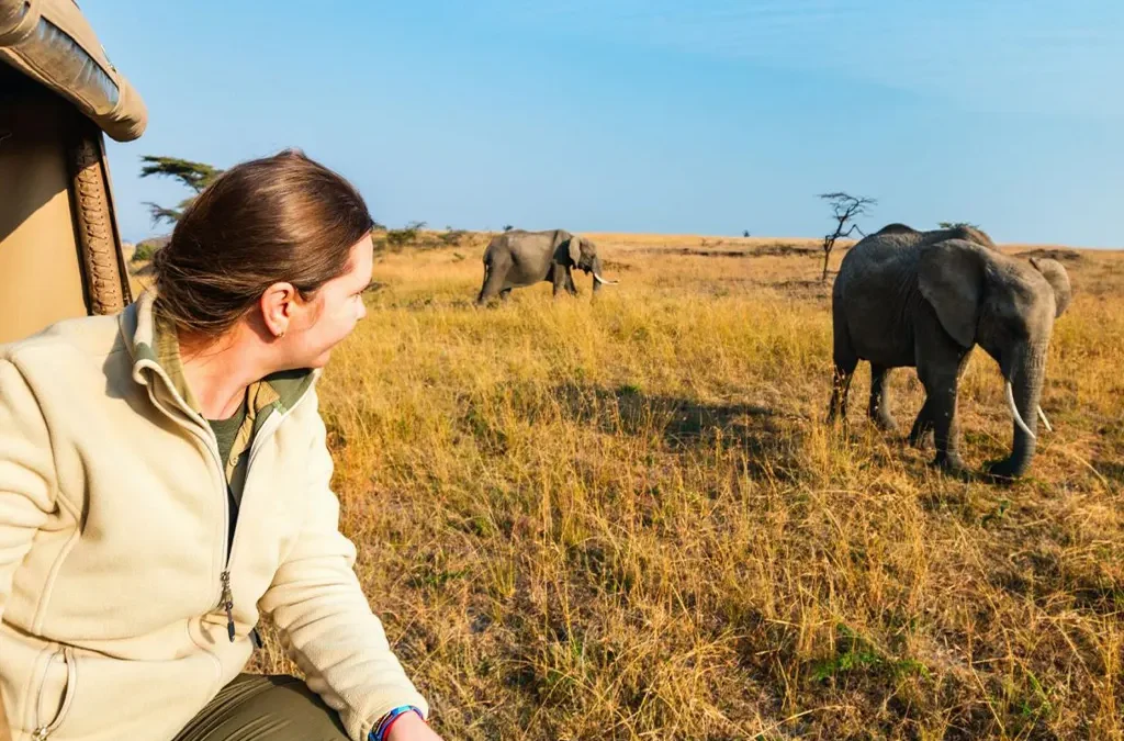 What to Expect on Your First Game Drive Safari