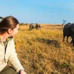 What to Expect on Your First Game Drive Safari