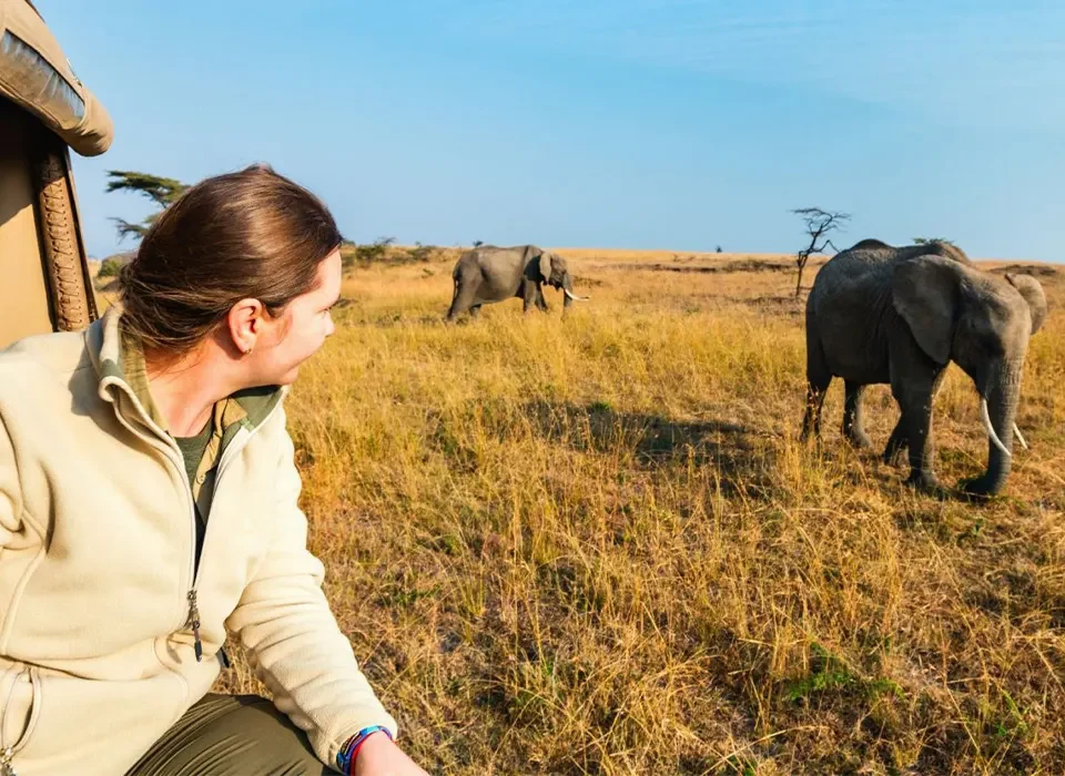 What to Expect on Your First Game Drive Safari