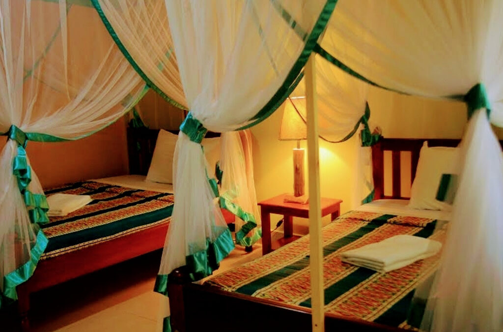 Where to Stay in Kibale National Park