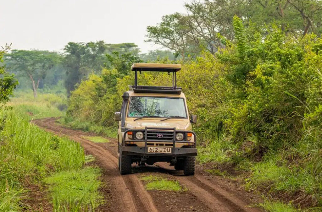 How to Plan a Uganda Road Trip?